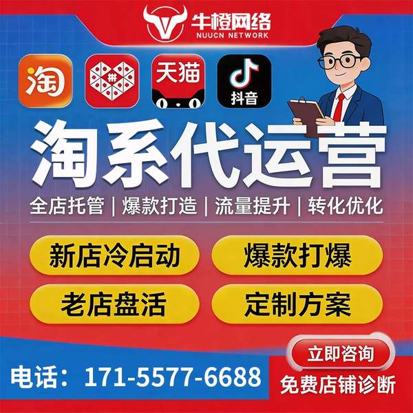 高邮电商代运营