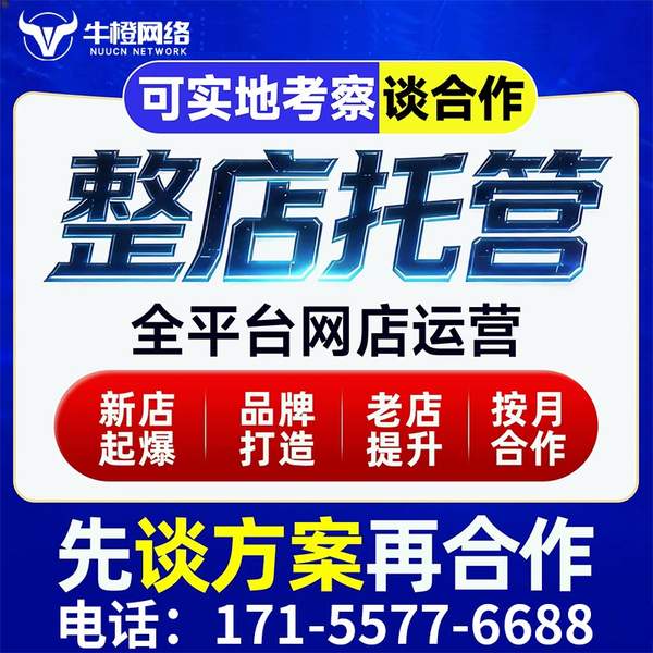 高邮电商代运营