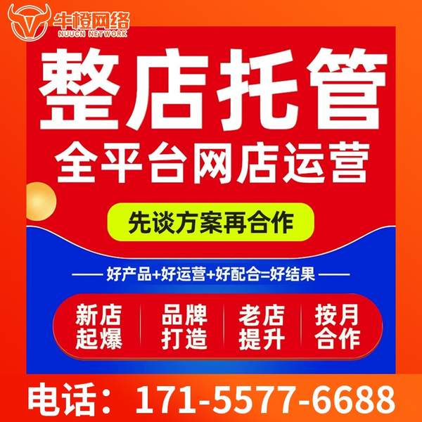 高邮电商代运营