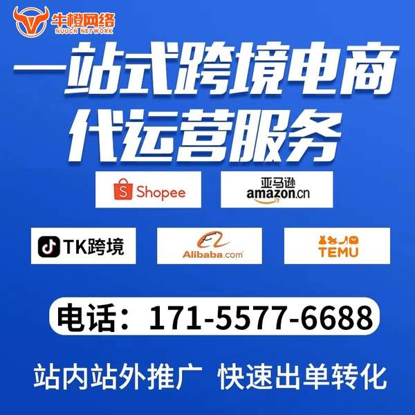 高邮电商代运营