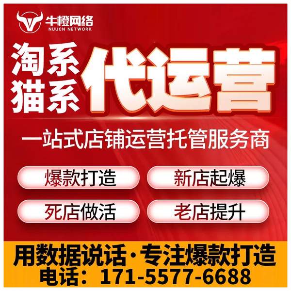 高邮电商代运营